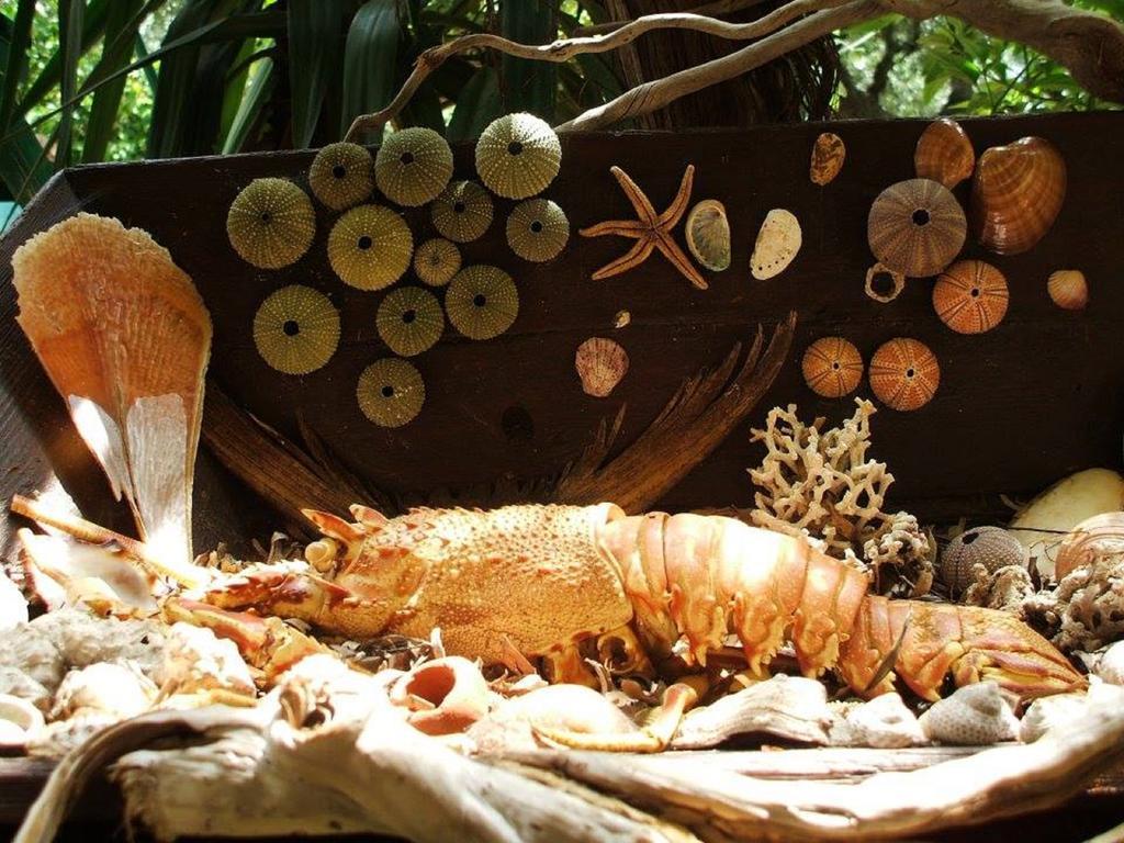 Tilemachos Traditional House 瓦西 外观 照片