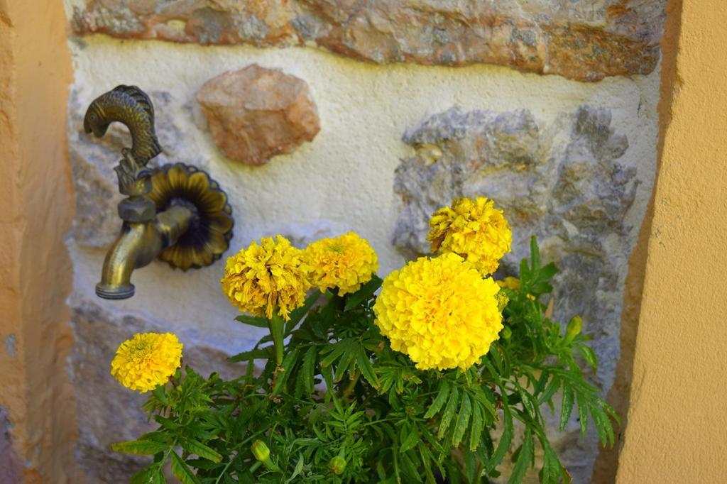 Tilemachos Traditional House 瓦西 外观 照片